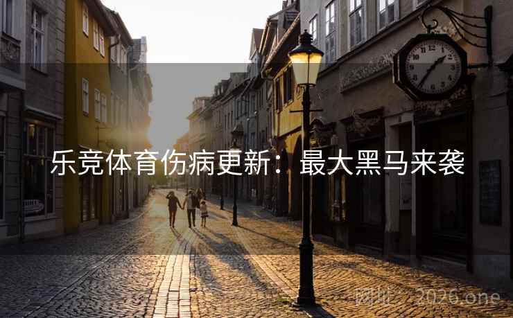 乐竞体育伤病更新：最大黑马来袭  第1张