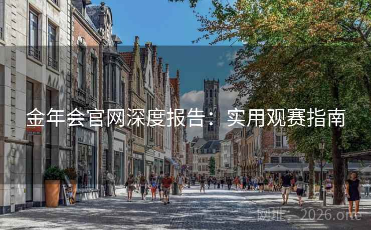 金年会官网深度报告：实用观赛指南  第2张