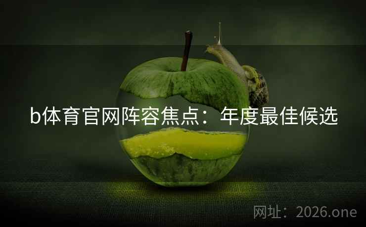 b体育官网阵容焦点：年度最佳候选
