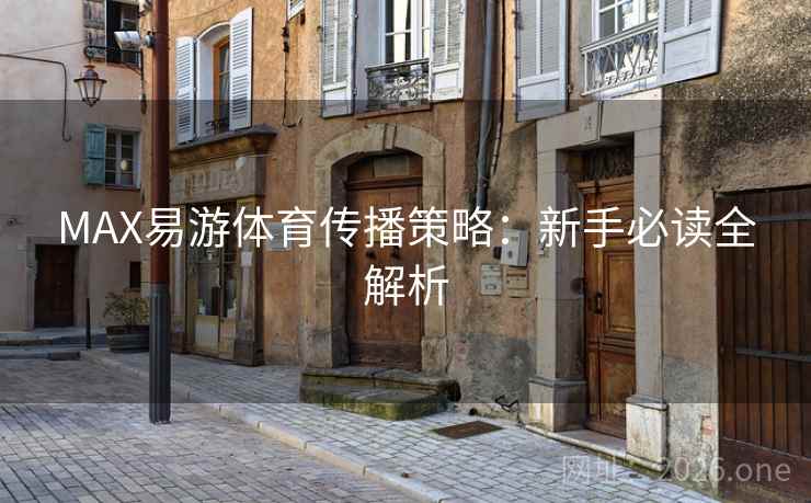 MAX易游体育传播策略：新手必读全解析