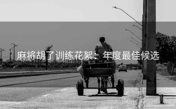 麻将胡了训练花絮：年度最佳候选