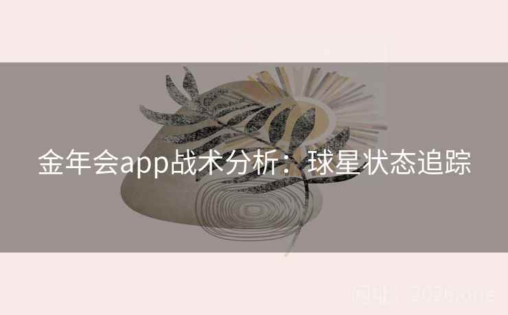 金年会app战术分析：球星状态追踪
