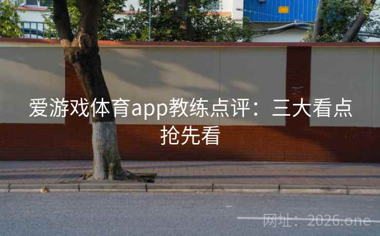 爱游戏体育app教练点评:三大看点抢先看