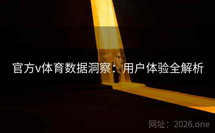 官方v体育数据洞察：用户体验全解析