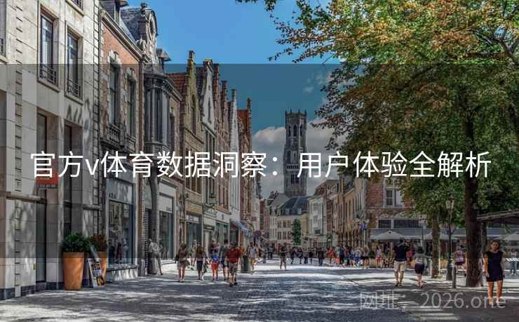 官方v体育数据洞察：用户体验全解析